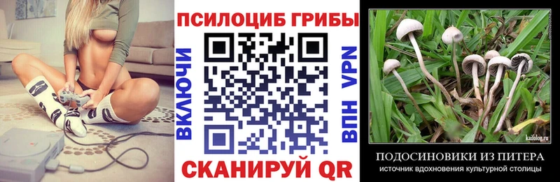 Псилоцибиновые грибы Magic Shrooms  Купить где  Димитровград 
